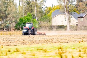 environmental horticulture