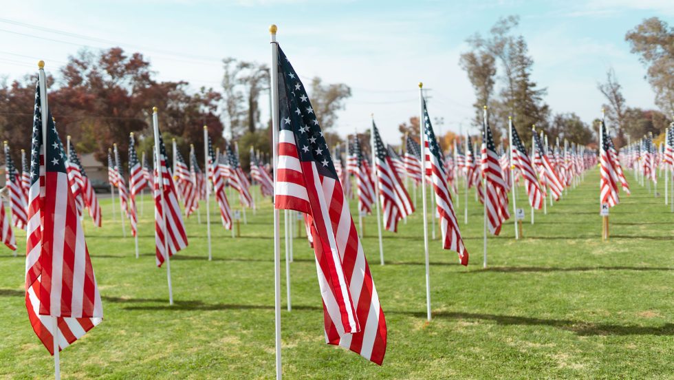 American Flags in the field of honor for veterans day