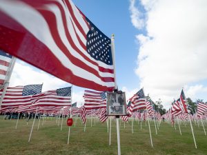 Veterans-Find-Support-Flag-Shot